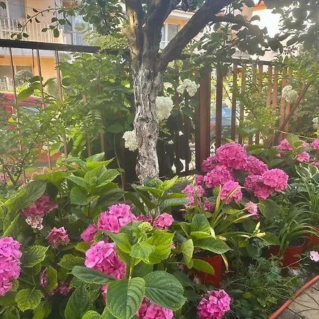 Amirov Garden - Free Parking & Free Area 3* קרנבו