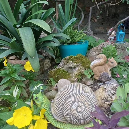 Amirov Garden - Free Parking & Free Area