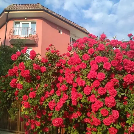 Amirov Garden - Free Parking & Free Area 3*